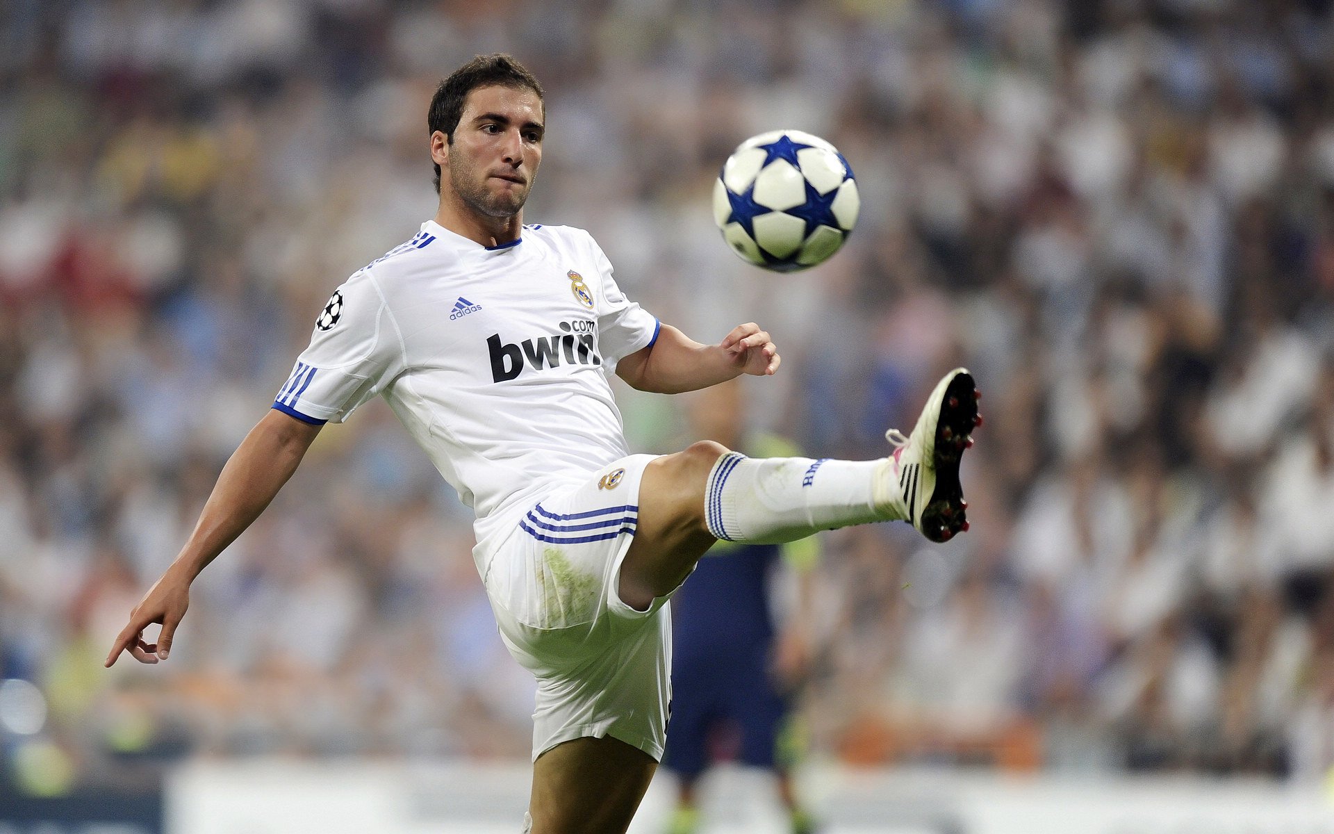 俱乐部青训教练获得国际认证 提升培养质量,俱乐部青训营